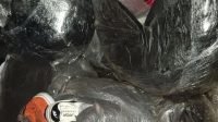 IMG-20230708-WA0063